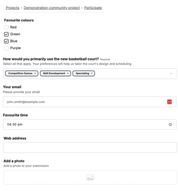 User submission form for a community project with fields for favorite colors and usage preferences.
