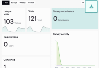 Analytics dashboard displaying unique visits, total visits, survey submissions, and user registrations.