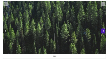 Example carousel gallery